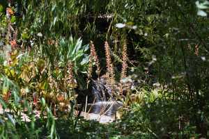 carrick hill 2014 (70)